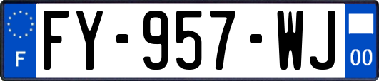 FY-957-WJ