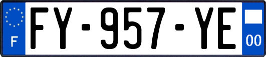 FY-957-YE
