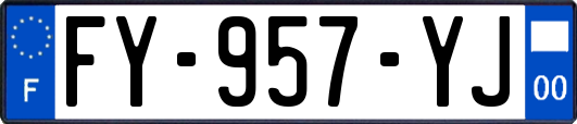 FY-957-YJ