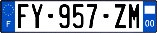 FY-957-ZM