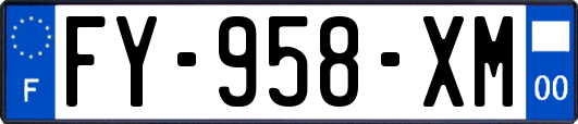 FY-958-XM