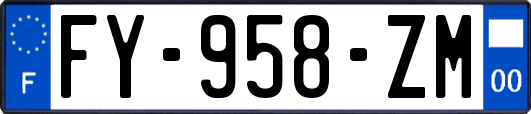 FY-958-ZM