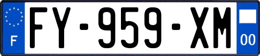 FY-959-XM
