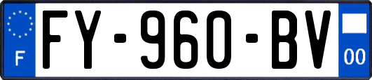 FY-960-BV