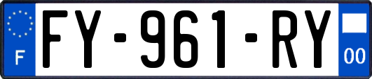 FY-961-RY