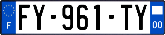 FY-961-TY
