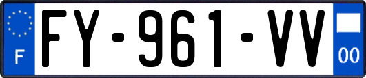 FY-961-VV
