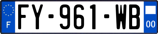 FY-961-WB