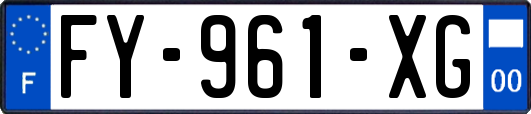 FY-961-XG