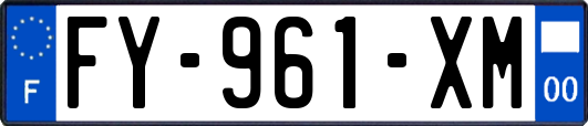 FY-961-XM