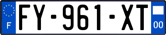 FY-961-XT