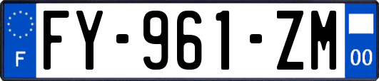 FY-961-ZM