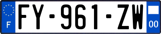 FY-961-ZW