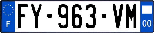 FY-963-VM
