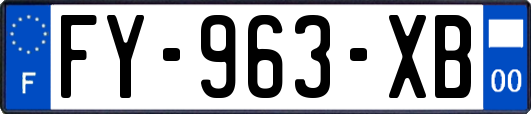 FY-963-XB