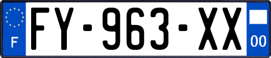 FY-963-XX