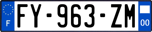 FY-963-ZM