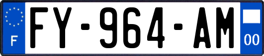 FY-964-AM