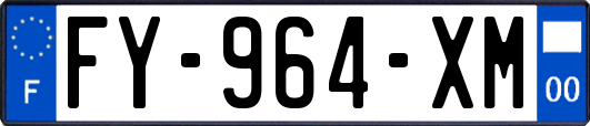 FY-964-XM