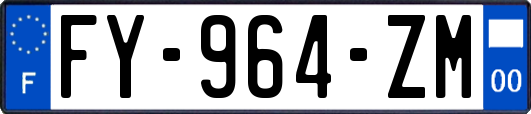 FY-964-ZM