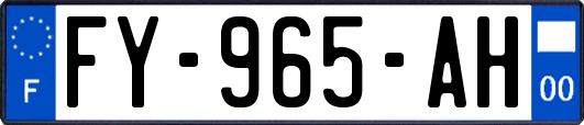 FY-965-AH