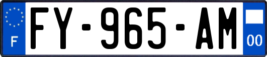 FY-965-AM