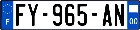 FY-965-AN