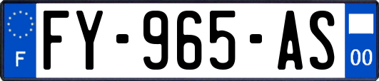 FY-965-AS
