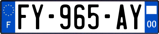 FY-965-AY