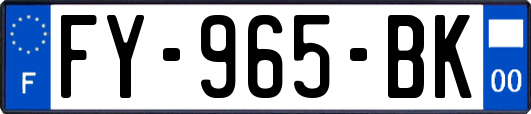 FY-965-BK