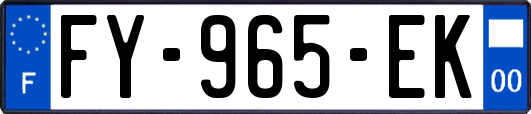 FY-965-EK