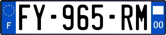 FY-965-RM