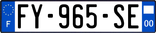 FY-965-SE