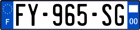FY-965-SG