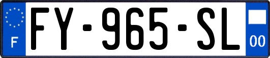FY-965-SL