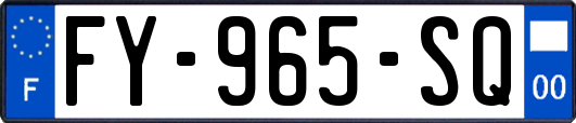 FY-965-SQ