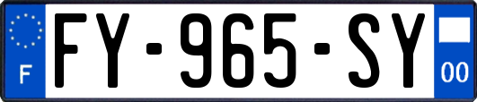 FY-965-SY