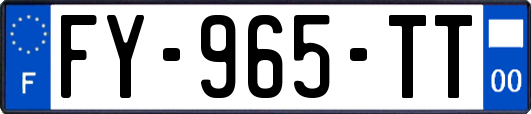 FY-965-TT