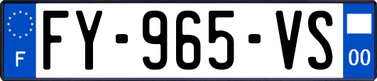 FY-965-VS