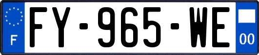 FY-965-WE