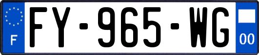 FY-965-WG