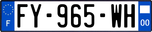 FY-965-WH