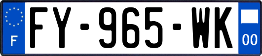 FY-965-WK