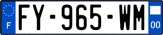 FY-965-WM
