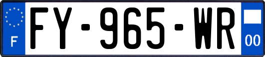 FY-965-WR