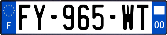FY-965-WT