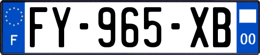 FY-965-XB