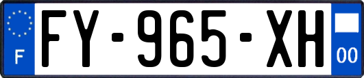 FY-965-XH