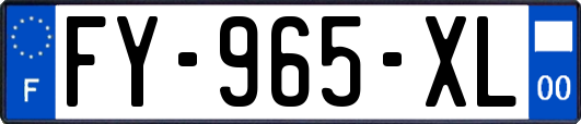 FY-965-XL