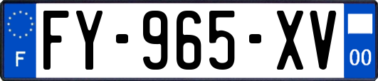 FY-965-XV